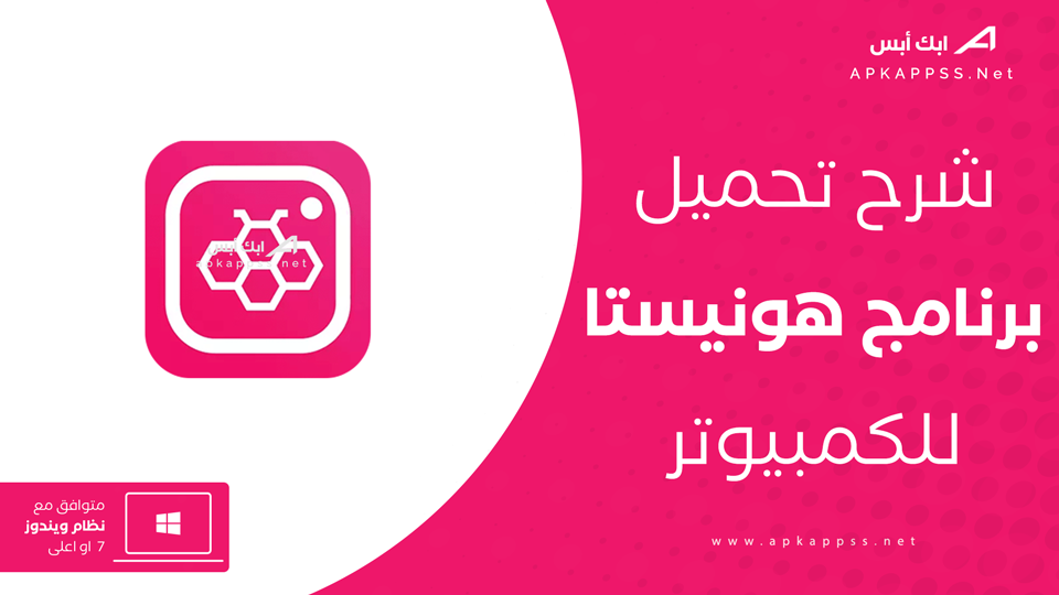 هونيستا للكمبيوتر
