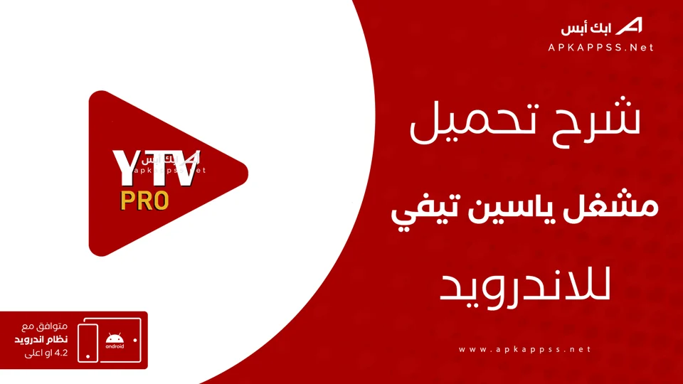 مشغل ياسين تيفي
