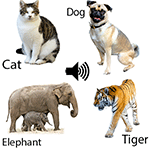 تحميل لعبة أصوات الحيوانات وتحديث animal sound apk مجاناً